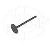 NSP NSP077701475894 Клапан впускной RENAULT Duster