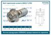 ARIRANG ARG171703 Болт М10х31х1 крепления шланга
