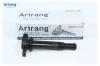 ARIRANG IGN1034 Катушка зажигания