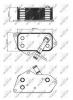 NRF 31277 31277_радиатор масляный!\ BMW E81/E87/E90/E60/E84/E83/E70/F20/F30/F10