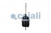 COJALI 2251406 2251406_энергоаккумулятор !T24/30 \Scania, DAF