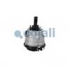 COJALI 2851407 Камера тормозная (дисковый тормоз) с энергоаккумулятором Iveco EuroCargo/Tector