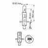 PHILIPS 12258PRB1 Лампа H1 12V 55W Vision +30%