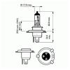 PHILIPS 12342LLECOC1 Лампа H4 12V 60/55W Long Life EcoVision