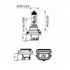 PHILIPS 12362LLECOC1 Лампа H11 12362 LLECO 12V 55W C1 (1) LLECO 12362LLECOC1