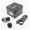 S&amp;K GMBH SK774000901PL Premium Line Комплект натяжителя ремня приводного [Натяжитель 1695242, Ролик APV2812, Ремень 7PK1752
