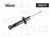 MILES DG00717 Амортизатор