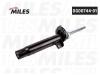 MILES DG0074401 Амортизатор BMW 1(F20) / 3 (F30) 11- пер.газ.  DG00744-01