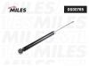MILES DG00765 Амортизатор