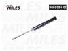 MILES DG0099801 Амортизатор