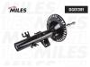 MILES DG01391 DG01391 Амортизатор подвески