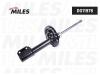MILES DG0161501 DG01615-01 Амортизатор подвески