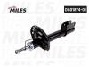MILES DG0187401 Амортизатор LADA X-RAY 15- пер.газ. DG01874-01