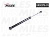 MILES DG0227801 Амортизатор
