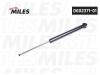 MILES DG0237101 Амортизатор