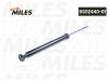 MILES DG0244001 Амортизатор