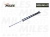 MILES DG0244001 Амортизатор