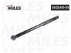 MILES DG0245101 Амортизатор