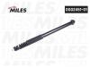 MILES DG0245101 Амортизатор