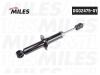 MILES DG0247501 Амортизатор