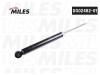 MILES DG0248201 Амортизатор