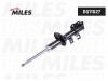MILES DG11027 Амортизатор