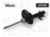 MILES DG11098 Амортизатор