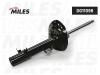 MILES DG11098 Амортизатор