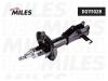 MILES DG111028 Амортизатор