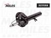 MILES DG111058 DG111058 Амортизатор подвески