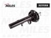 MILES DG111058 DG111058 Амортизатор подвески