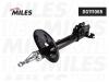 MILES DG111065 DG111065 Амортизатор подвески