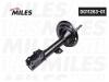 MILES DG1126301 Амортизатор