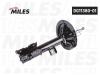 MILES DG1138001 Амортизатор