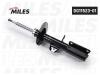 MILES DG1152301 Амортизатор MILES DG1152301 BMW X5 E53 пер.лев.газ. / Miles DG11523