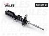 MILES DG1152301 Амортизатор MILES DG1152301 BMW X5 E53 пер.лев.газ. / Miles DG11523
