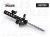 MILES DG11765 Амортизатор