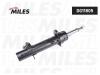 MILES DG11805 Амортизатор