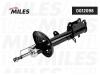 MILES DG12098 DG12098 Амортизатор подвески