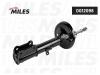 MILES DG12098 DG12098 Амортизатор подвески