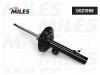 MILES DG21098 Амортизатор