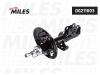 MILES DG211003 DG211003 Амортизатор подвески