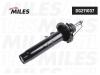 MILES DG211037 Амортизатор