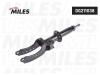 MILES DG211038 Амортизатор