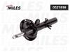 MILES DG211058 DG211058 Амортизатор подвески