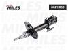MILES DG211060 DG211060 Амортизатор подвески