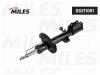 MILES DG211061 DG211061 Амортизатор подвески