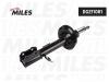 MILES DG211061 DG211061 Амортизатор подвески