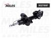 MILES DG211067 DG211067 Амортизатор подвески