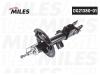 MILES DG2138001 Амортизатор